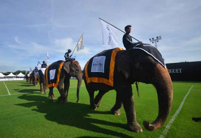 PHOTOS: Anantara's annual Kings Club Elephant Polo-1